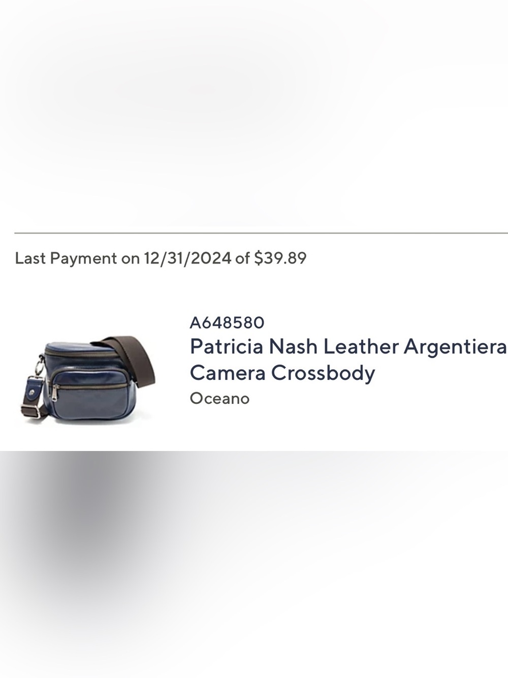 Patricia Nash Argentiera Small Leather Camera Crossbody - Oceano Blue